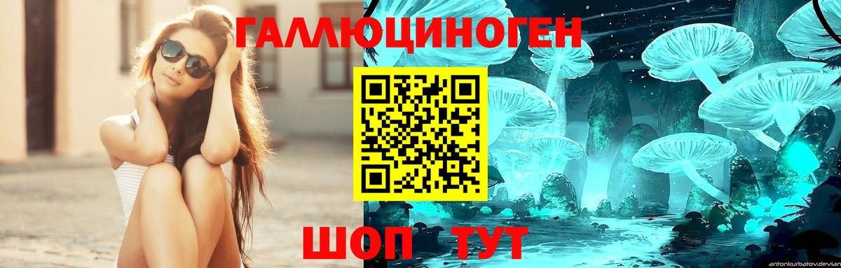 Галлюциногенные грибы Magic Shrooms Псков
